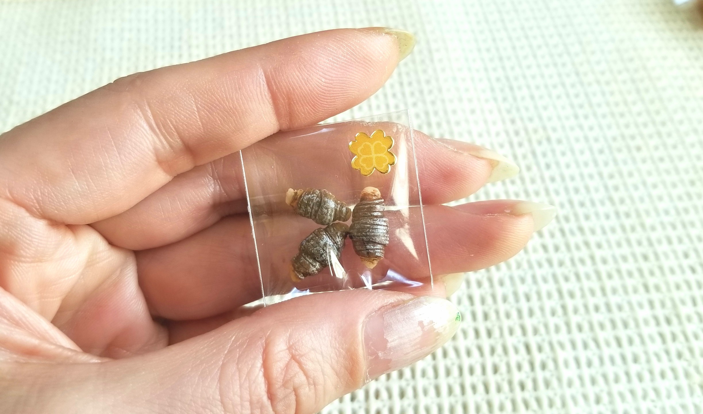 チョコクロワッサン,パン,ミニチュアフード,ミニスウィーツドール