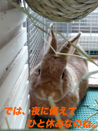 P1100747のコピー
