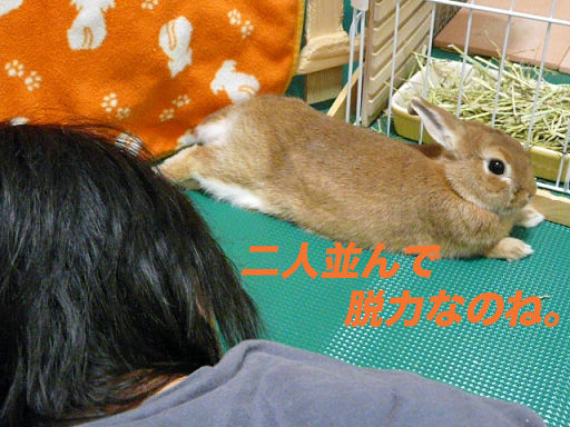 P1110639のコピー