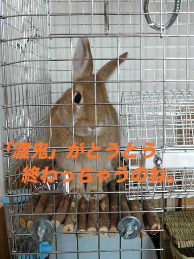 P1110607のコピー