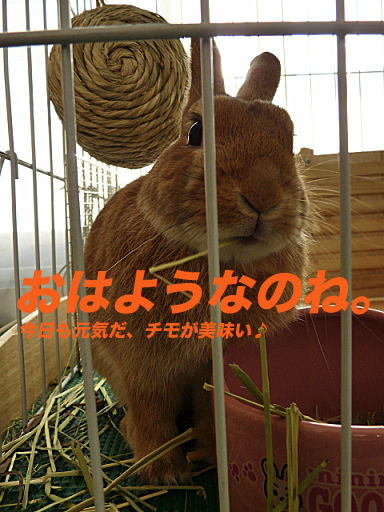P1120650のコピー