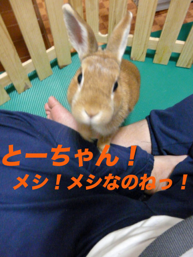 P1100166のコピー