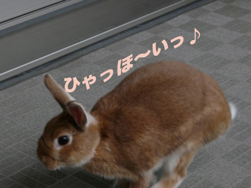 P1060193のコピー