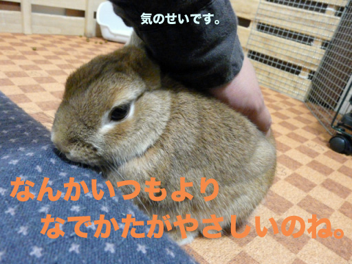 P1090849のコピー