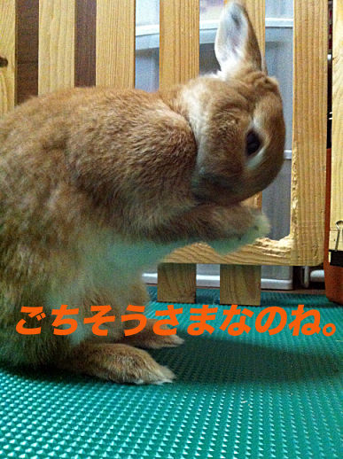38のコピー