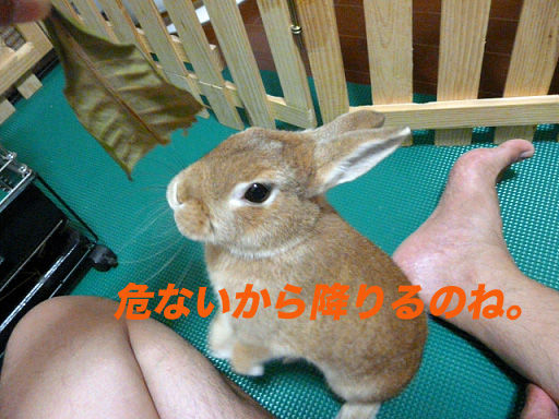 P1110771のコピー