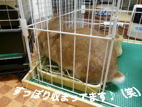 P1020675のコピー