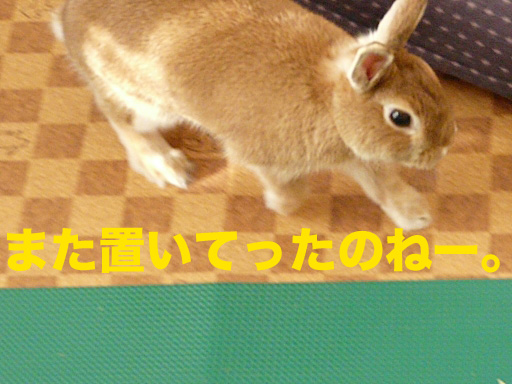 P1070185のコピー