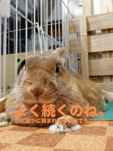 P1090830のコピー