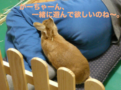 P1090490のコピー