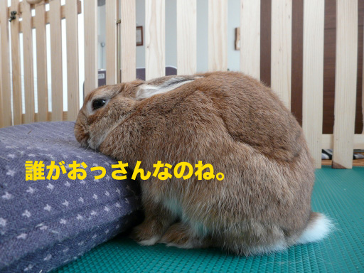 P1080564のコピー