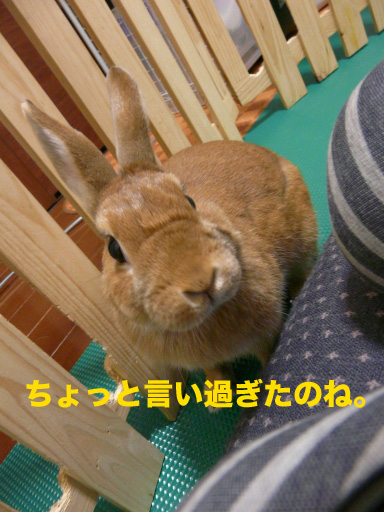 P1080638のコピー