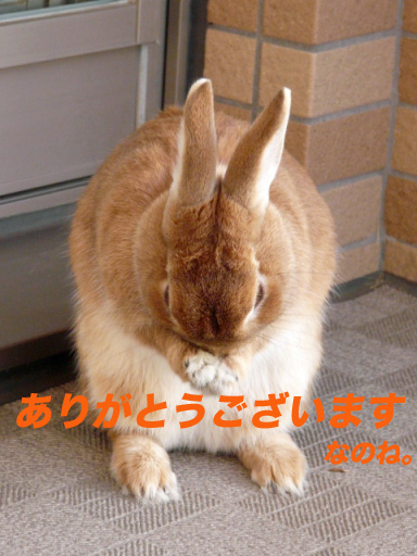 10000-3のコピー