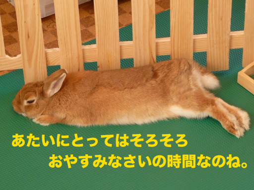 P1080642のコピー