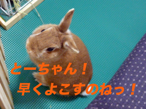 P1100209のコピー
