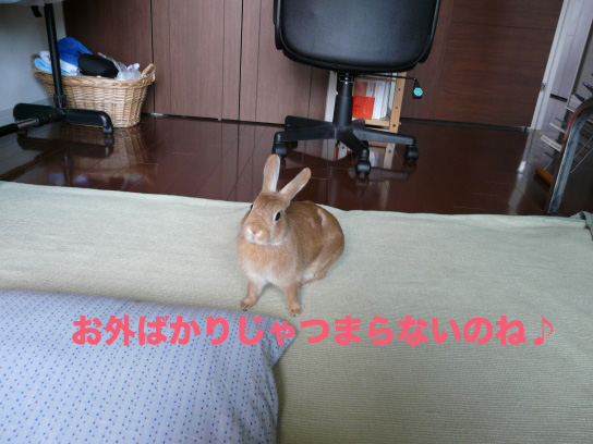 P1030917のコピー