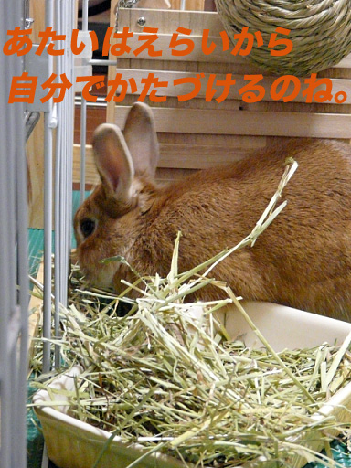 P1100673のコピー