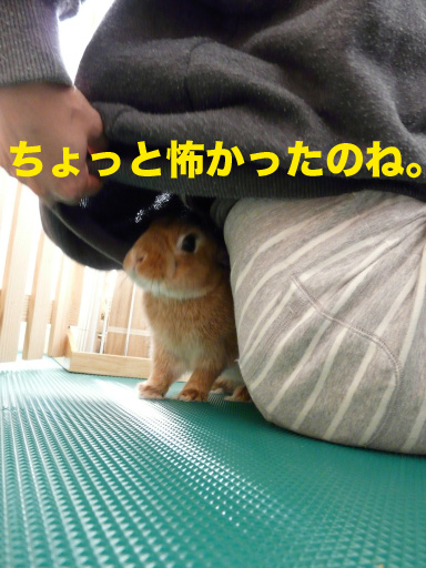 P1080519のコピー