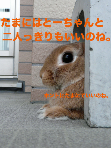 P1090882のコピー