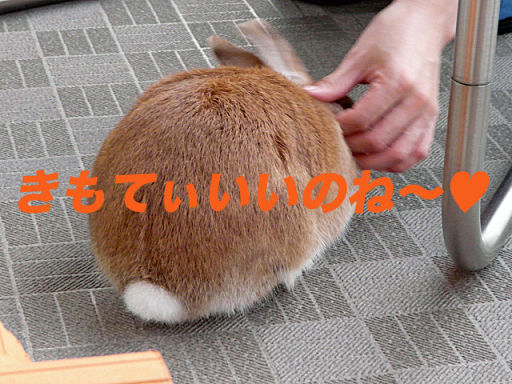 P1120615のコピー