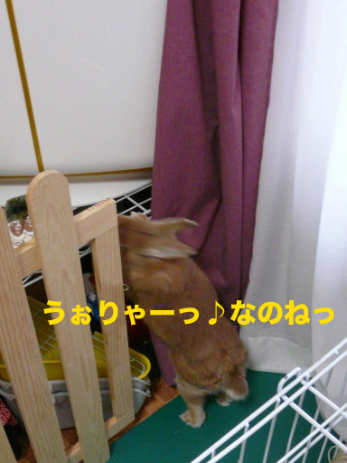 P1080647のコピー