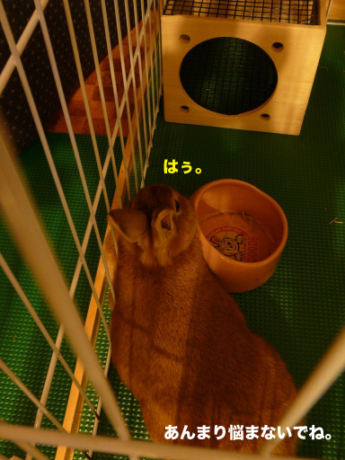 P1060628のコピー