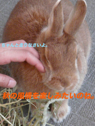 P1110840のコピー