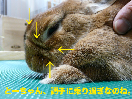 P1080485のコピー