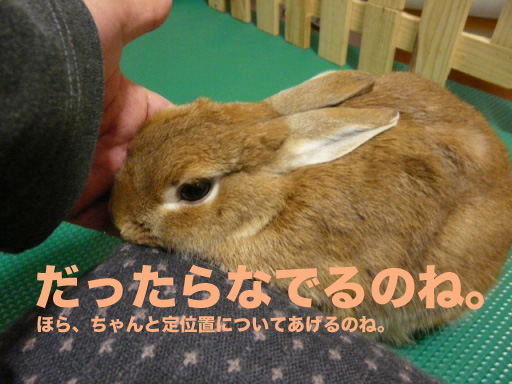 P1090381のコピー