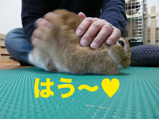 P1080482のコピー