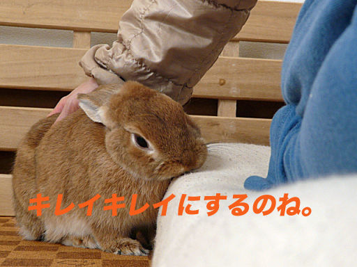 P1120559のコピー