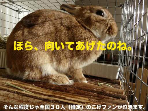 P1080515のコピー