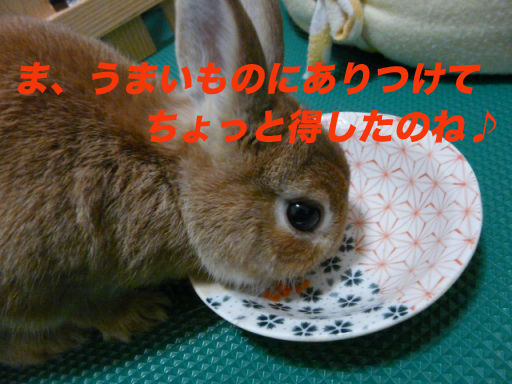 P1150149のコピ