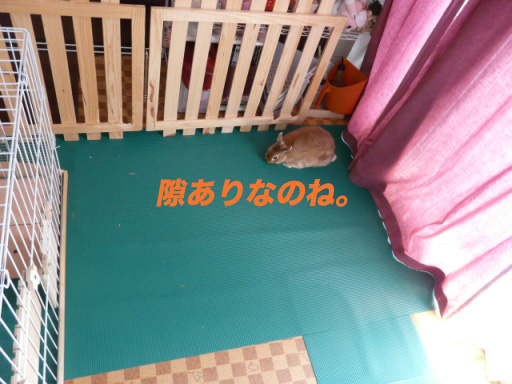 P1110256のコピー