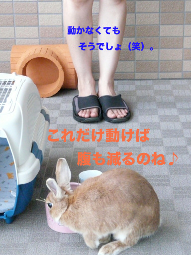 P1060149のコピー