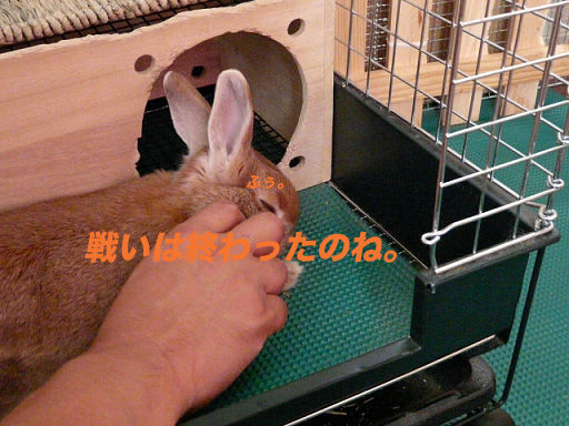 P1110638のコピー
