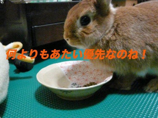 P1150256のコピ