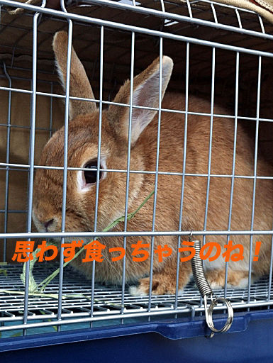 02のコピー