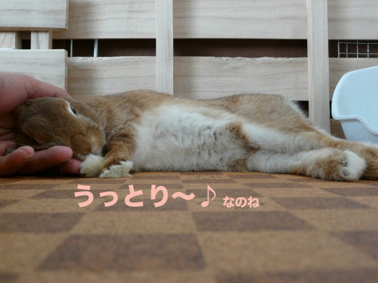 P1030174のコピー