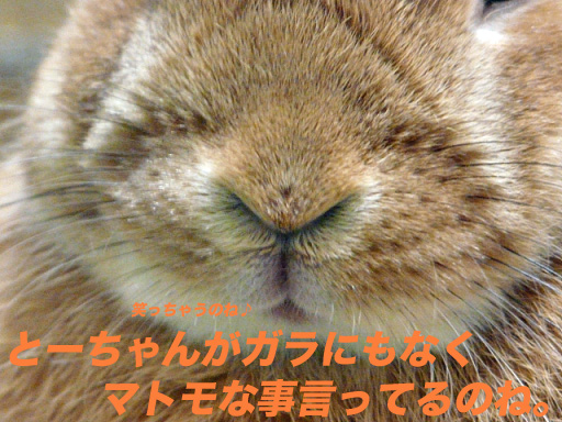 P1110191のコピー