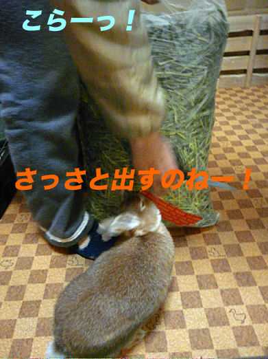 P1160302のコピー