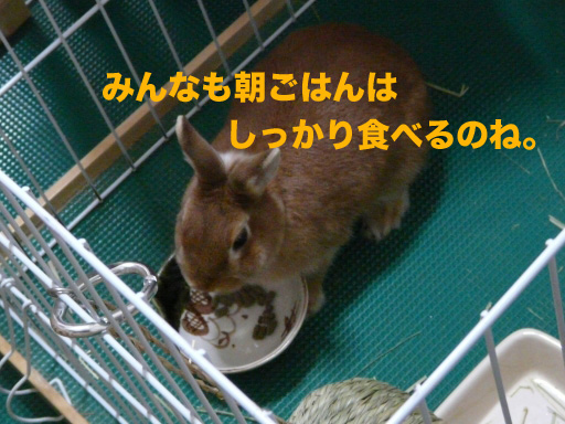 P1070270のコピー