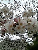 06040503