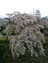 06040501