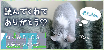 にほんブログ村 小動物ブログ ネズミへ