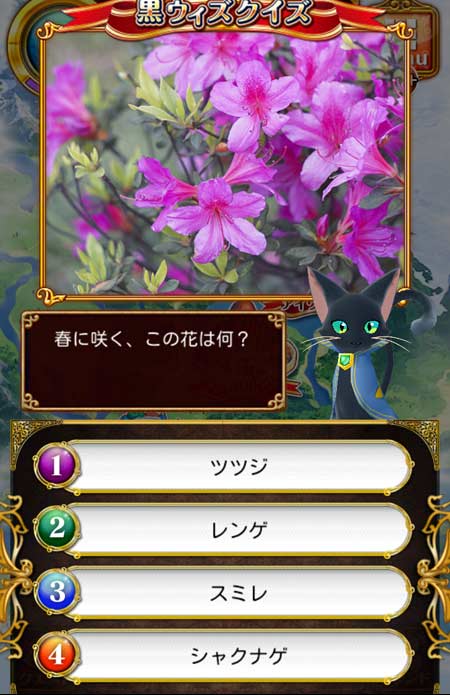 kurowiz_quiz407-4_1