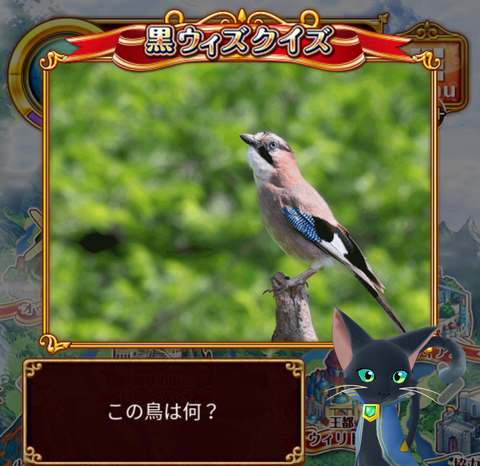 Screenshot_20160130-130748