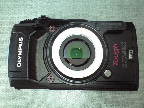 CA3A2836