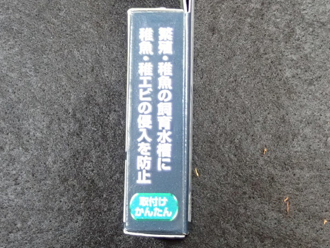 OTG41313