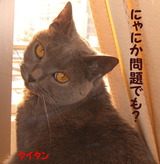 furikaeri